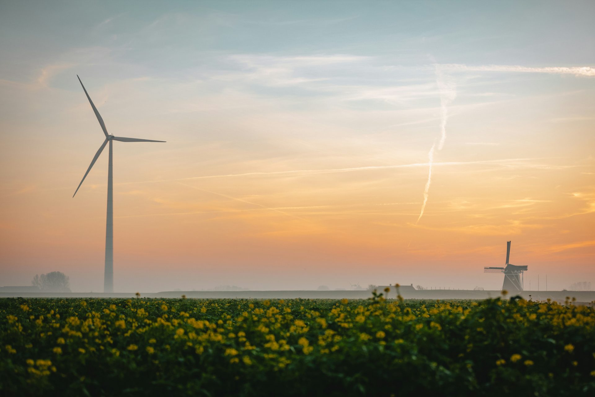 Molinos de viento al atardecer